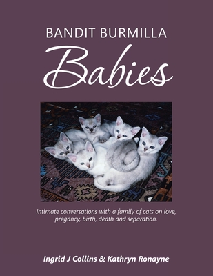 Bandit Burmilla Babies: Intimate Conversations with a Family of Cats on Love, Pregancy, Birth, Death and Separation. - Collins, Ingrid J, and Ronayne, Kathryn