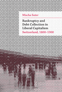 Bankruptcy and Debt Collection in Liberal Capitalism: Switzerland, 1800-1900