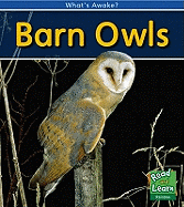 Barn Owls