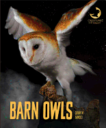 Barn Owls