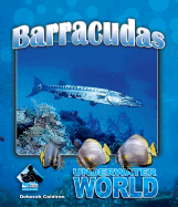 Barracuda - Coldiron, Deborah