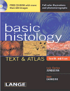 Basic histology.