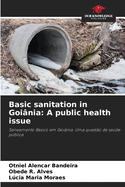 Basic sanitation in Goinia: A public health issue