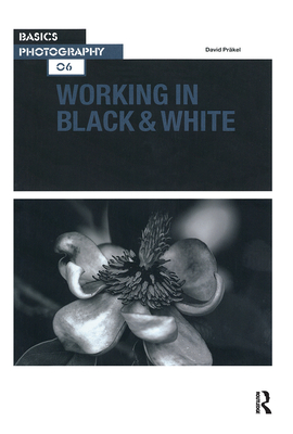 Basics Photography 06: Working in Black & White - Prkel, David