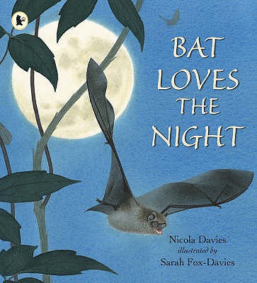 Bat Loves the Night - Davies, Nicola