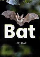 Bat (Set 02)