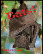 Bats: Learn about These Strange and Wonderful Creatures of the Night