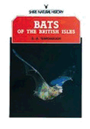 Bats of the British Isles