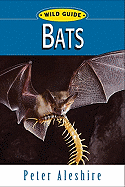Bats: Wild Guide