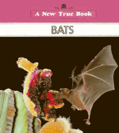 Bats - Gray, Susan Heinrichs