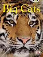 Bc Nf Brown B/3b Big Cats