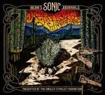Bears Sonic Journals: Dawn of the New Riders of the Purple Sage