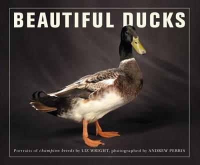 Beautiful Ducks: Portraits of Champion Breeds - Wright, Liz, and Perris, Andrew (Photographer)