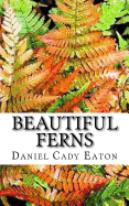 Beautiful Ferns