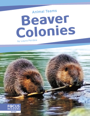 Beaver Colonies - Perdew, Laura