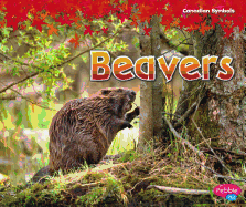 Beavers