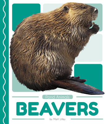 Beavers - Lilley, Matt