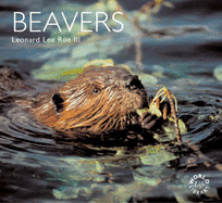 Beavers