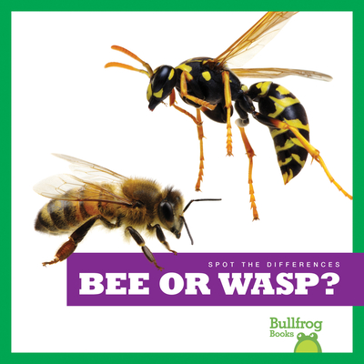 Bee or Wasp? - Zimmerman, Adeline J
