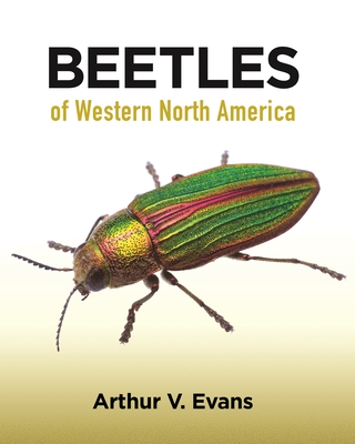 Beetles of Western North America - Evans, Arthur V