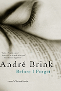 Before I Forget - Brink, Andre
