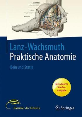 Bein Und Statik - Lang, Johannes, and Wachsmuth, W