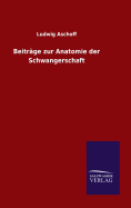 Beitrge zur Anatomie der Schwangerschaft