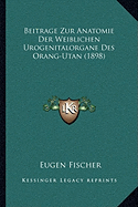 Beitrage Zur Anatomie Der Weiblichen Urogenitalorgane Des Orang-Utan (1898)