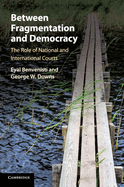 Between Fragmentation and Democracy: The Role of National and International Courts