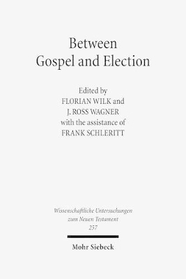 Between Gospel and Election: Explorations in the Interpretation of Romans 9-11 - Schleritt, Frank (Editor), and Wagner, J Ross (Editor), and Wilk, Florian (Editor)