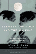 Between The Moon and The Walking