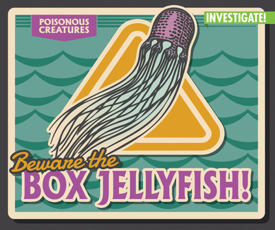 Beware the Box Jellyfish! - Phillips, Howard