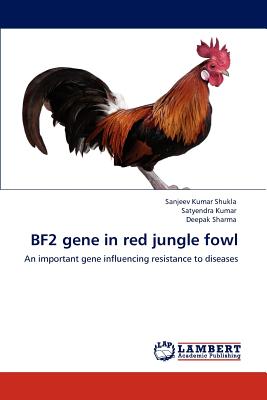 Bf2 Gene in Red Jungle Fowl - Shukla, Sanjeev Kumar, and Kumar, Satyendra, and Sharma, Deepak