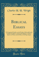 Biblical Essays: Or Exegetical Studies on the Books of Job and Jonah, Ezekiel's Prophecy of Gog and Magog, St. Peter's Spirits in Prison, and the Key to the Apocalypse (Classic Reprint)