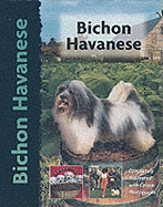Bichon Havanese