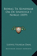 Bidrag Til Kundskab Om De Sindssyge I Norge (1859)