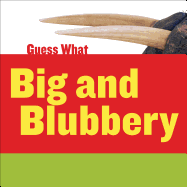 Big and Blubbery: Walrus