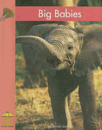 Big Babies