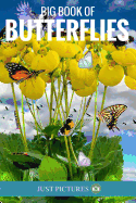 Big Book of Butterflies
