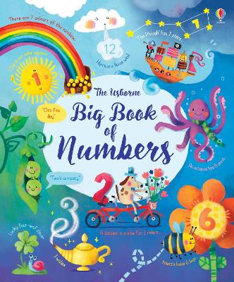 Big Book of Numbers - Brooks, Felicity
