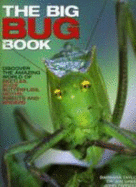 Big Bug Book