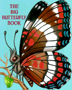 Big Butterfly Book (Trade)