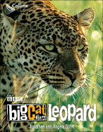 Big Cat Diary: Leopard