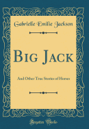 Big Jack: And Other True Stories of Horses (Classic Reprint)