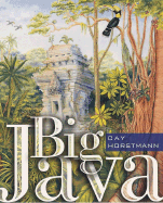 Big Java