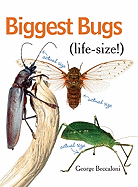 Biggest Bugs Life-Size