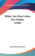 Bilder Aus Dem Leben Des Waldes (1909)