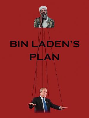 Bin Laden's Plan: The Project for the New Al Qaeda Century - Malone, David, PH.D.