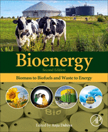 Bioenergy: Biomass to Biofuels and Waste to Energy