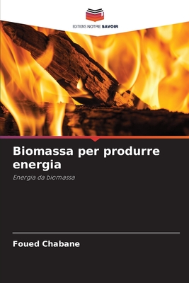 Biomassa per produrre energia - Chabane, Foued